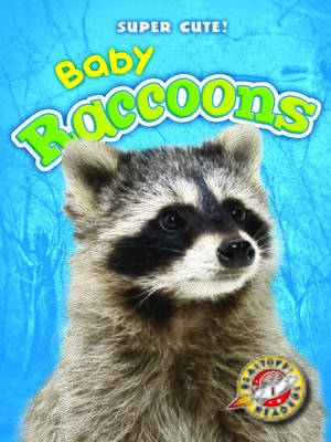 cover image of Baby Raccoons
